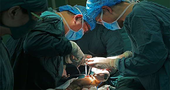 血管外科(图1) 血管外科(图1)