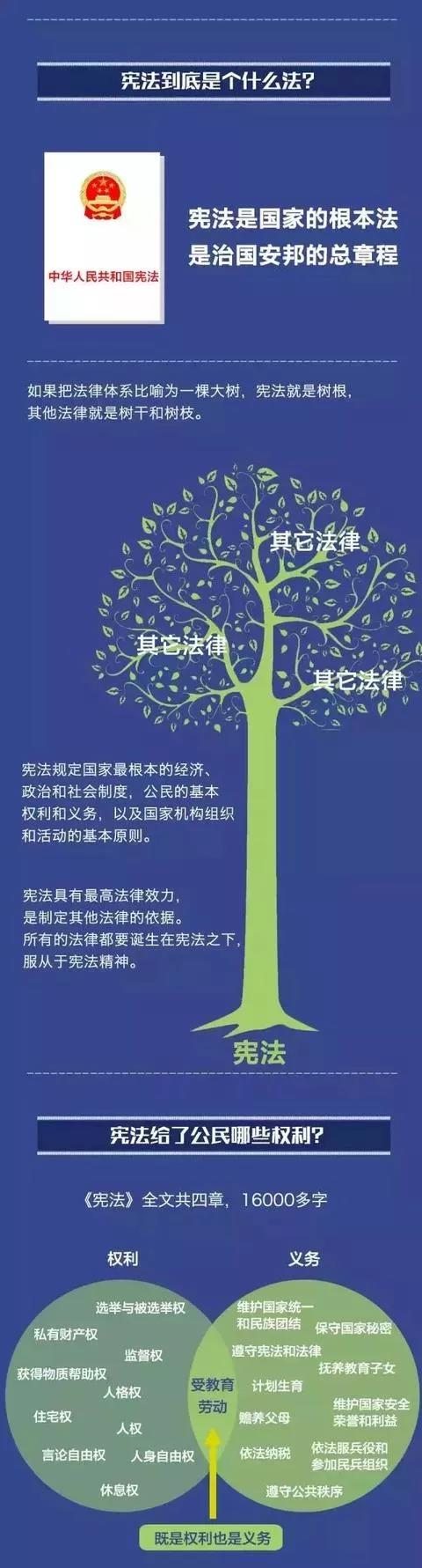 国家宪法日 | 你对宪法了解多少？(图2)