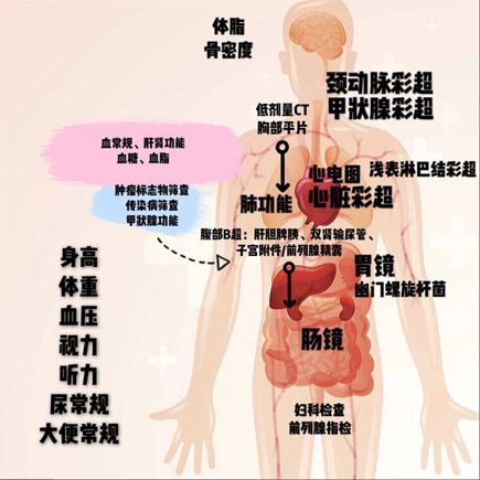 新一年的健康体检，你真的做对了吗？(图9)