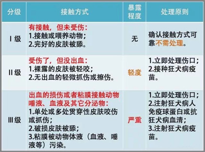 【世界狂犬病日】同一个健康，零死亡，带您了解狂犬病那些事儿(图3)